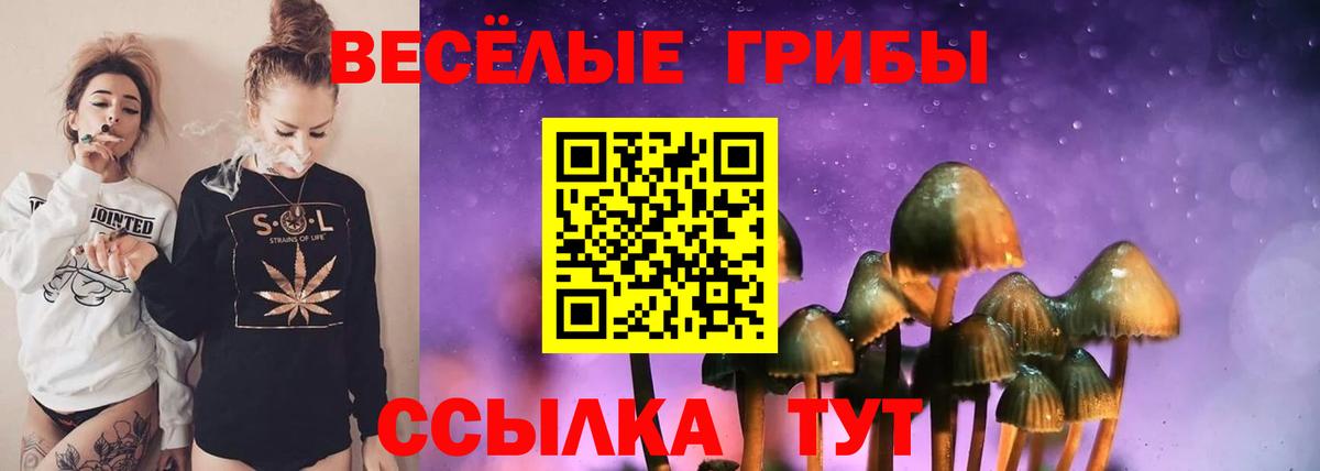 Ишимбай  как найти наркотики  Вход с VPN  Галлюциногенные грибы MAGIC MUSHROOMS 