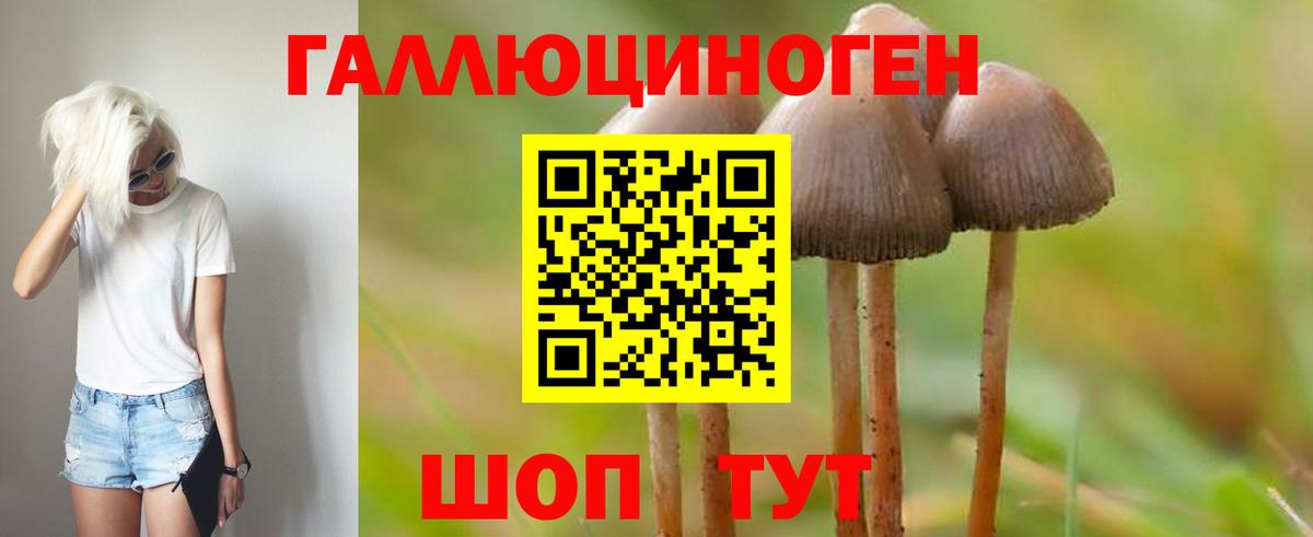 Галлюциногенные грибы Magic Shrooms Ишимбай
